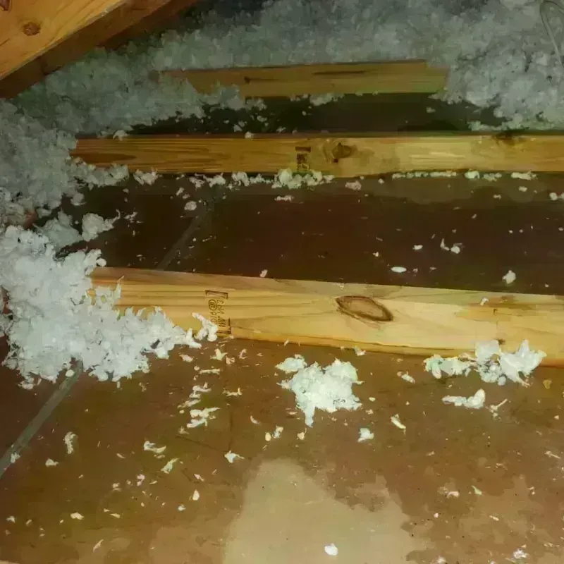 Attic Water Damage in Punta Rassa, FL