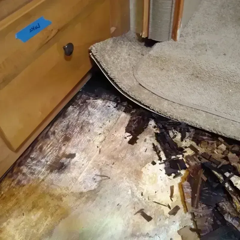 Best Wood Floor Water Damage Service in Punta Rassa, FL